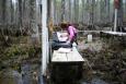 A female scientist records data near equipment in a swamp full of trees.