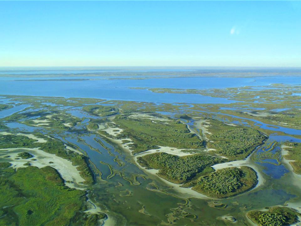 Aransas National Wildlife Refuge (Photo: Jenna Moon/U.S. FWS) an aerial shot of the texas coast