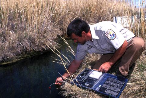 A federal trustee staff member monitoring stream water quality after restoration.