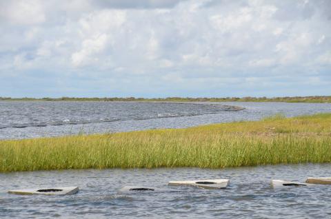 Marsh and water habitat in Louisiana. Credit: Coastal Protection and Restoration Authority.