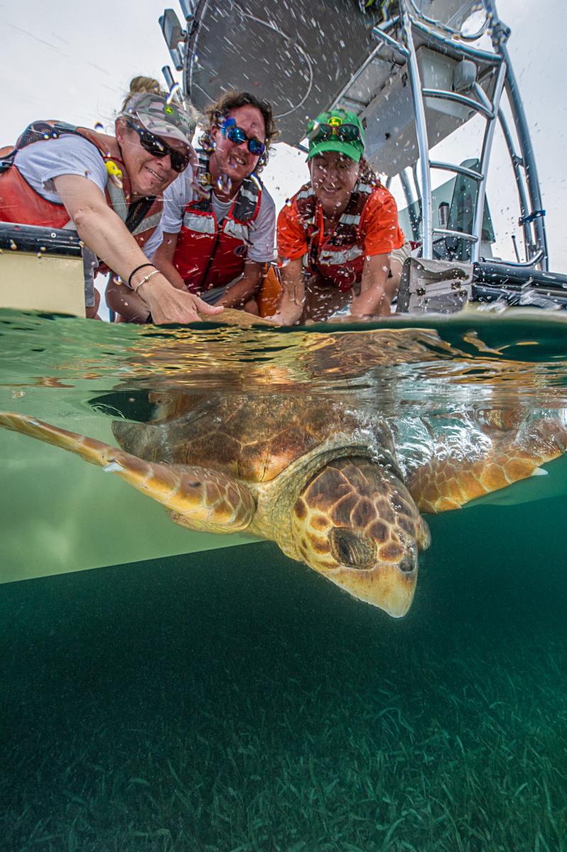 three women on the deck of a boat release a sea turtle back into the water 