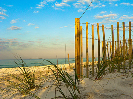 Florida beach and dune at sunset