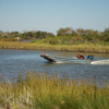 Near shore habitat