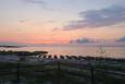 cat point living shoreline at sunset