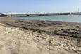 a mucky shore is shown with a bridge in the background