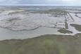 a drone shot of a marsh