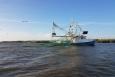 A passing skimmer trawl in Louisiana state waters (Photo: Taylor Beyea/LGL) shrimp boat