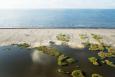 An aerial view of Shell Island East, a barrier island with sand dunes and other habitat also helping with coastal resilience.