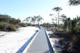 A section of the newly re-opened Jeff Friend Trail in Bon Secour National Wildlife Refuge in Alabama.