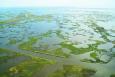 An aerial view of a patchwork of green marsh islands and water in coastal Louisiana.