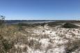 Coastal sand dunes with water in the background off Florida's coast.