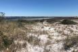 Sandy dunes and dune vegetation on Florida's coast - at Navarre Marine Park 
