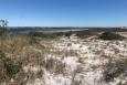Dunes at Navarre Beach Marine Park, one of the Florida Coastal Access projects.