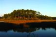 Mississippi marsh