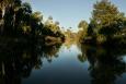 Calm waters off the Suwanee River reflect the sky and surrounding trees at the Lower Suwanee National Wildlife Refuge.