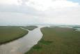 Marsh and river channels in the Mississippi River Delta