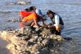 Two scientists inspect an oyster reef and collect data with a clipboard. A kayak rests on the reef in the background.