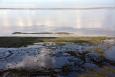 Aerial view of wetlands and water on the Texas coast.