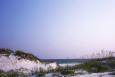 Dunes and vegetation on a Santa Rosa Island Florida beach. The Gulf of Mexico is in the background.
