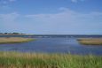 Florida living shorelines