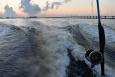 Bridge and coast can be seen from a boat. A fishing reel and pole is in the foreground, in front of the boat's wake. Image: Florida Fish and Wildlife