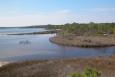 a tidal waterway in Florida. 