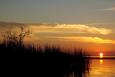 The sun sets over a Gulf Coast marsh in Alabama. 