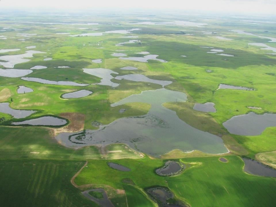 a prairie is shown overhead with water potholes