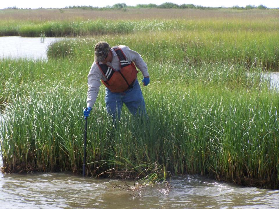 probing for oil in Louisiana marsh