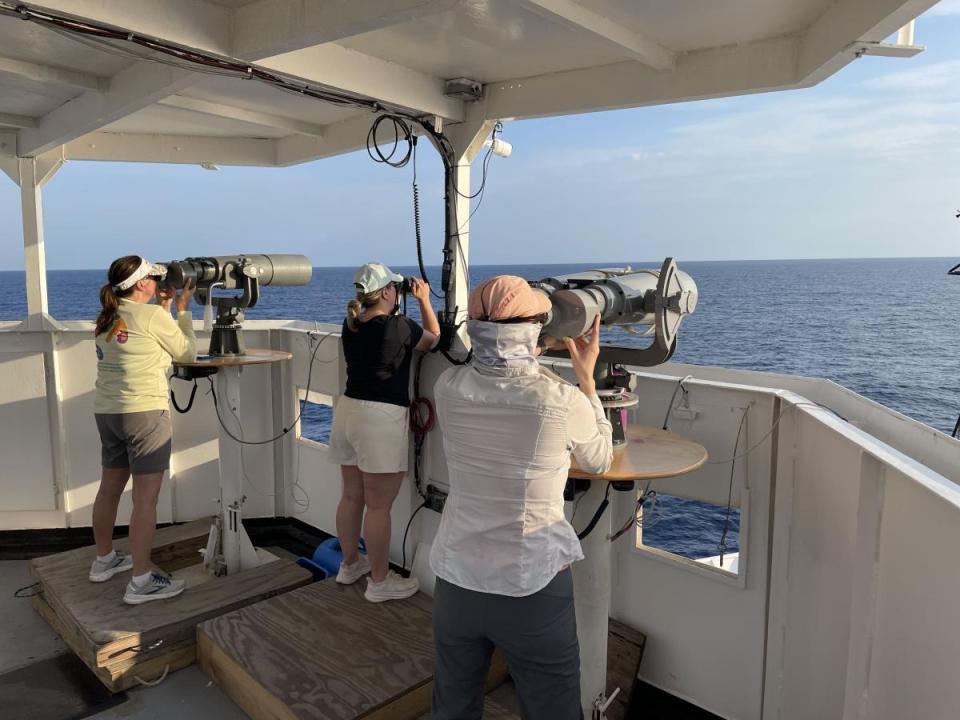 Three people look out at the ocean, two using very large binoculars and one using typical sized binoculars