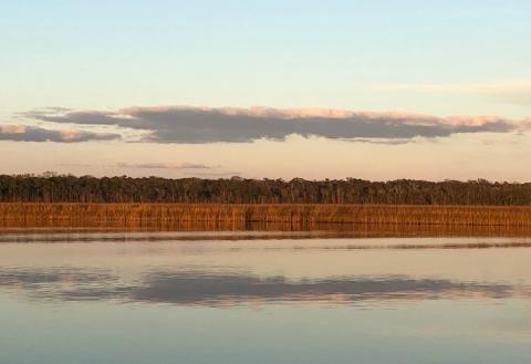 serene water with a blue sky background