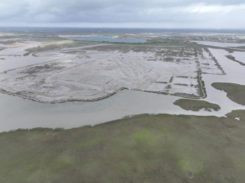 a drone shot of a marsh