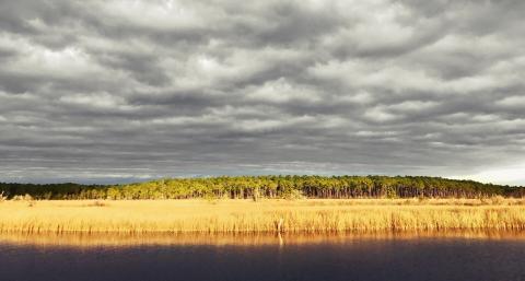 a sunlit prairie sits behind calm water 