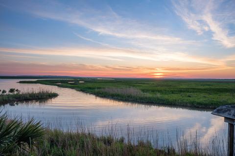 calm water sits amongst green grass with a sunset sky
