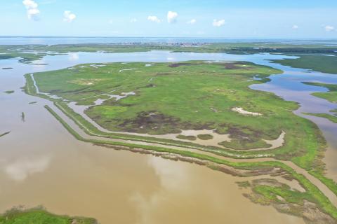a marsh with brown water is shown with green patches of land in the middle