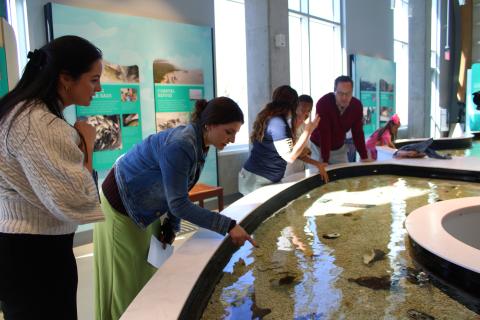 a lady stands over a touch tank and points into the water