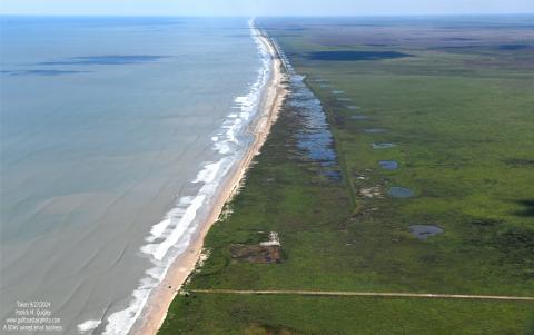 an aerial of mcfadden beach's shoreline
