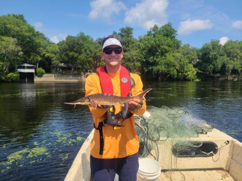 a man holds a sturgeon 