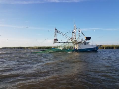 shrimp boat