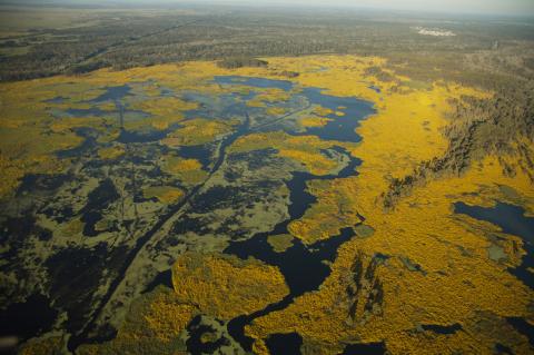 Multiple habitats are seen in an aerial view of the Louisiana coastline.