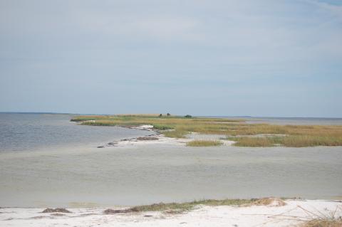 Lanark Reef 6-mile stretch of islands, seagrass and shallow sandbars in Florida's Gulf Coast. Credit: FWC