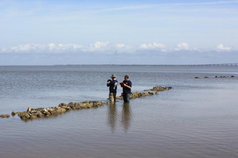 Two scientists wade in water next to oyster reefs with measurement tools and a clipboard.