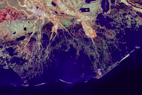 Satellite image of Louisiana coast