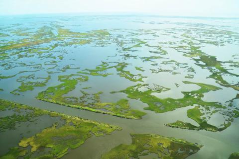 An aerial view of a patchwork of green marsh islands and water in coastal Louisiana. 