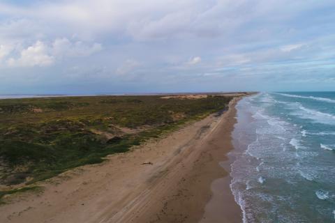 Aerial view of the Texas coastline, with vegetated dunes and sandy beach, on the Gulf of Mexico.