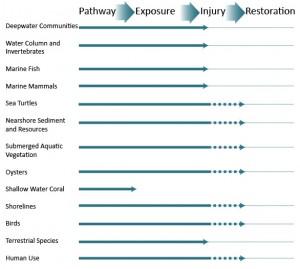 Assessment of natural resources across resource categories