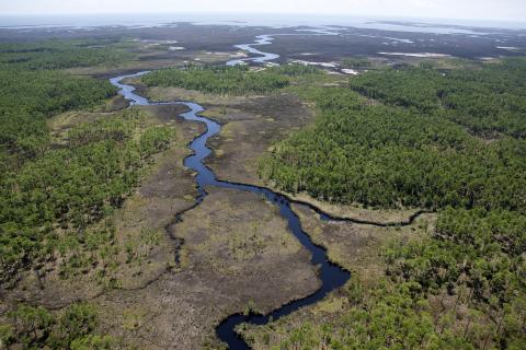 Aerial view of a river meandering into an estuary and bay in Mississippi. Credit: USFWS