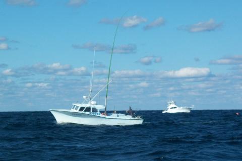 green stick fishing vessel