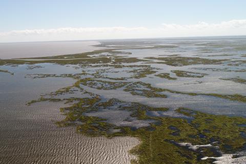 Aerial view of the Lake Borgne area of Louisiana's Barataria Basin.
