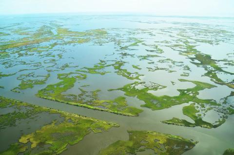Aerial view of parts of the Barataria Basin, where wetlands have disappeared for decades.